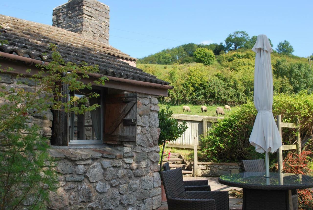 Fenny Castle Vineyard Cottage Wookey Kültér fotó