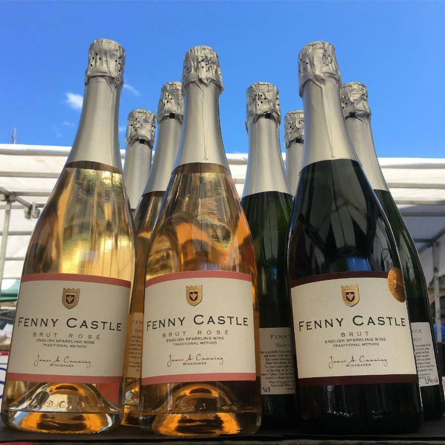 Fenny Castle Vineyard Cottage Wookey Kültér fotó